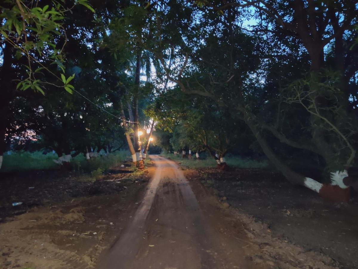 Hotel Shiv Farm House Sasan Gir Exterior foto